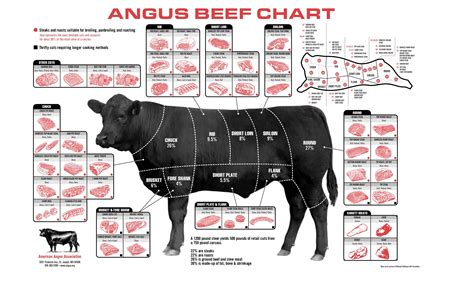 YSK where different cuts of meat come from. "Angus Beef Chart" [2,772px × 1,728px] (xpost from ...