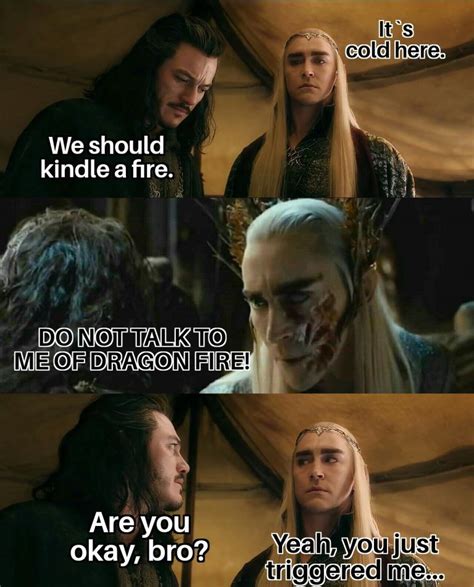 24 Hobbit Memes Thranduil | Hobbit memes, Thranduil funny, The hobbit