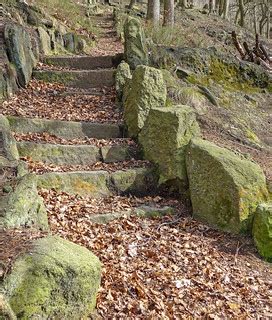 Steps in Eaves Wood, Heptonstall | Tim Green | Flickr