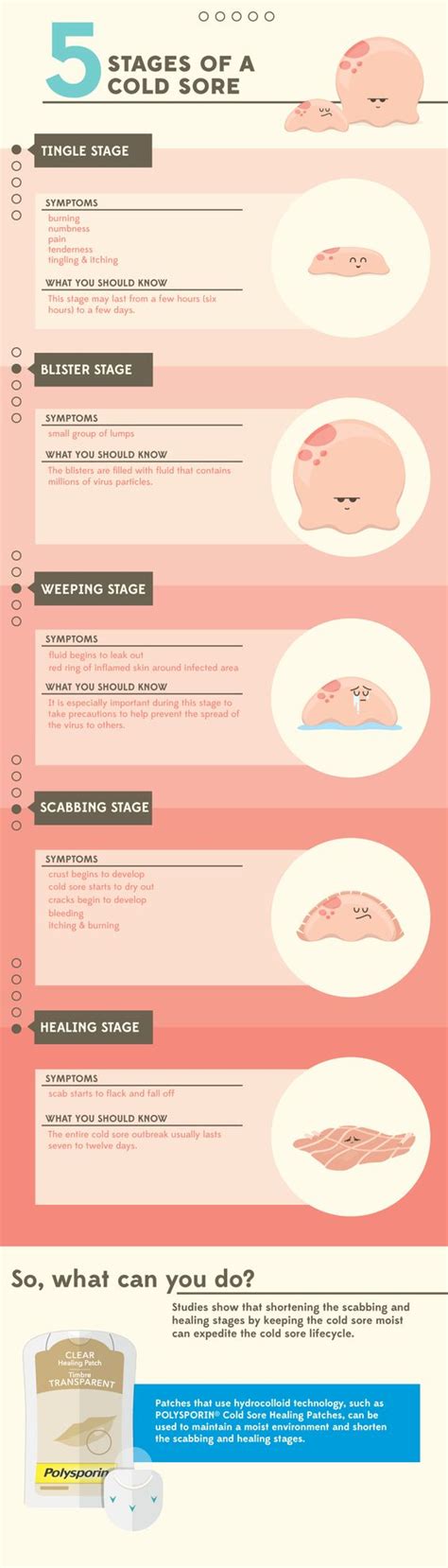 Cold sore stages, Cold sore and Warning signs on Pinterest