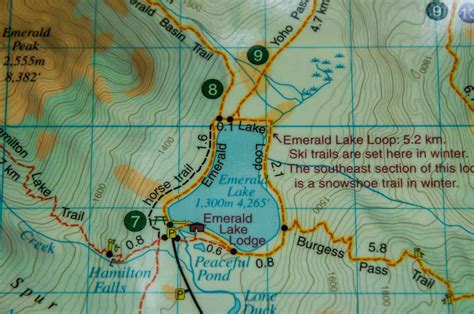 Emerald Lake Trail Map