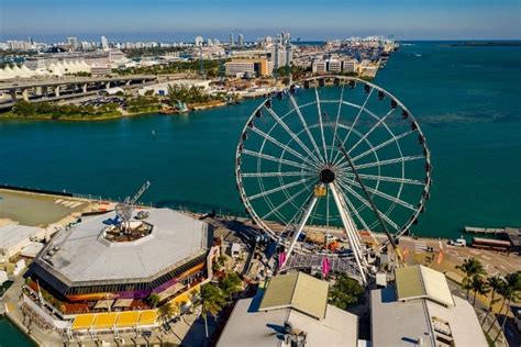 58 Fun & Unusual Things to Do in Miami (Florida) - TourScanner