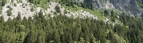 AllTrails | Alpine Passes Trail, Segment 42: Torgon - Taney: 3 Reviews, Map - Valais, Switzerland