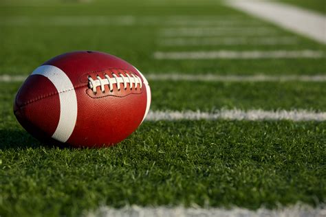 3 Football Pests That Are a Real Fumble - Pointe Pest Control | Chicago Pest Control and ...