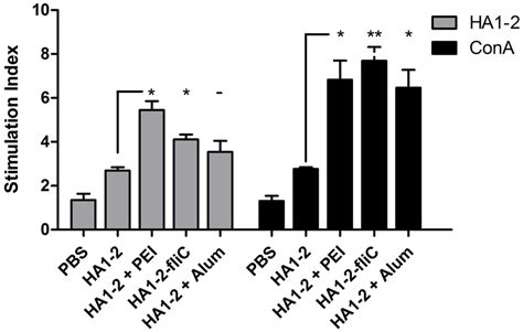 Stimulation index of splenocytes. Splenocytes were prepared from the... | Download Scientific ...