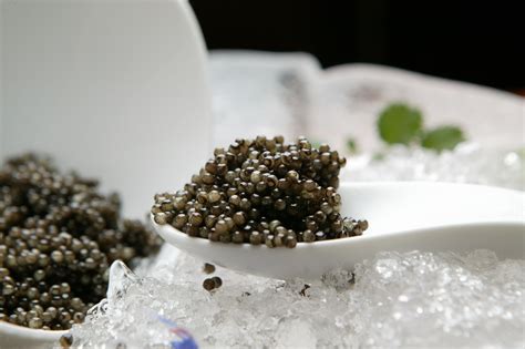 What is Caviar? Discover The Most Expensive Food.