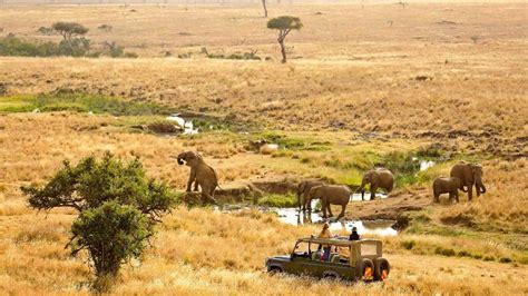 6 Wildlife Conservancies in Kenya You Need To Visit