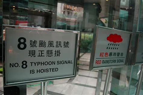 Hong Kong Typhoons - What You Need To Know