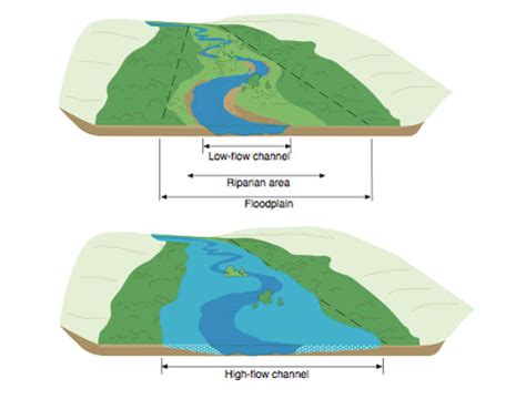 Floodplain Management