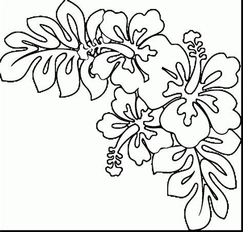 Hawaiian Flower Drawing at GetDrawings | Free download