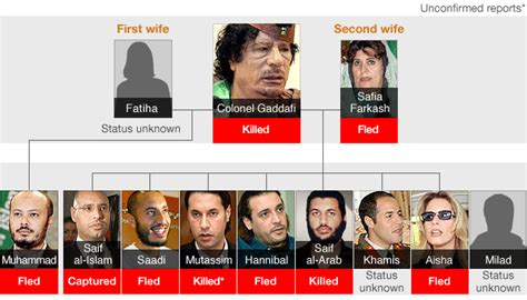 BBC News - The Gaddafi family tree