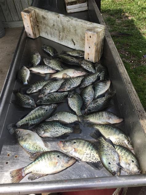 Mark Twain Lake Fishing Report - 5/17/18 • Explore Mark Twain Lake