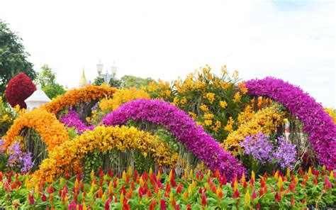 Giant Flower Garden Pops Up In Bangkok’s City Centre