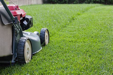 Lawn Mowing Stock Photos, Pictures & Royalty-Free Images - iStock