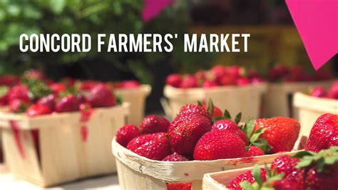 Concord Farmers' Market, NH - Live Fresh — Visit Concord New Hampshire