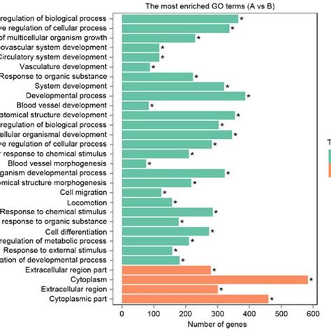 KEGG pathway analysis of the top 20 KEGG enriched gene pathway-related... | Download Scientific ...