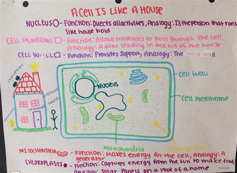 Cell Analogy Examples