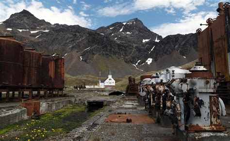 Behind the Lens: An Emotional Moment in Grytviken - Discover by Silversea