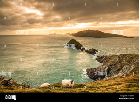 Slea Head, one of the most beautiful scenery of the Ring of Kerry ...