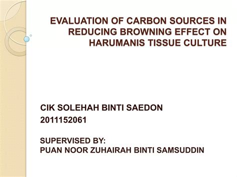 evaluation of sucrose in reducing browning effect on harumanis tissue ...