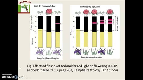Photoperiodism - Part 2 - YouTube