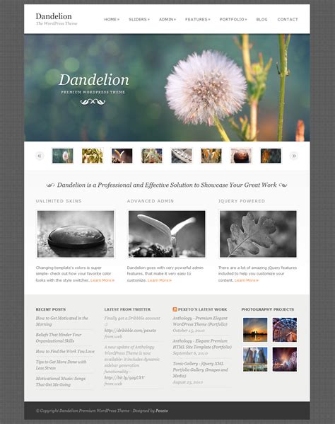 Wordpress Website Template – serat