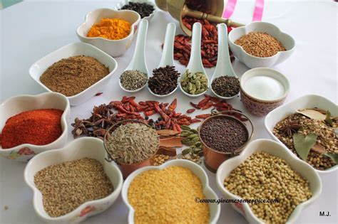 Basic Spices for Making Indian food - Give Me Some Spice!