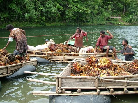 Kembara Insan / Engineer's Blog: Operasi Kilang Sawit / Palm Oil Mill Operation