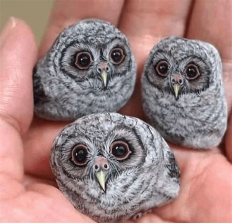 painted rocks : r/Owls