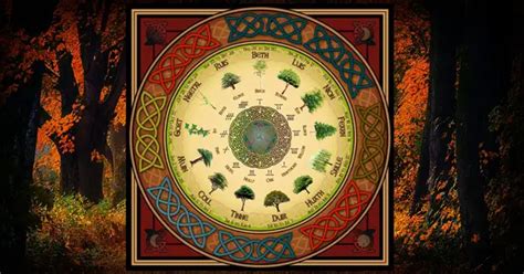 The Celtic Tree Calendar based on the ancient ogham alphabet