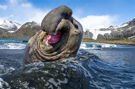 Los animales más feos en el mundo_Spanish.china.org.cn_中国最权威的西班牙语新闻网站