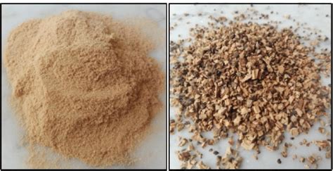 Fine granules (FG) (left) and coarse granules (CG) (right) | Download Scientific Diagram