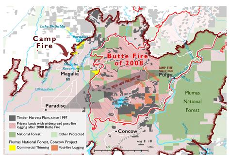 Logging Didn’t Stop the Camp Fire | John Muir Project