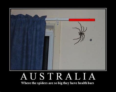 Spider's HP | Damn Nature, You Scary! | Know Your Meme