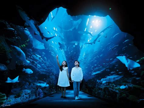 Dubai Aquarium and Underwater Zoo at Dubai Mall - Klook