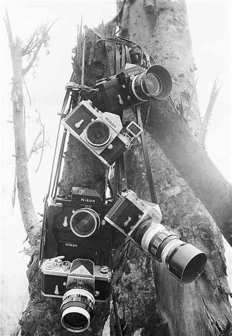Cameras on Tree in Khe Sanh During Vietnam War | 07 Apr 1968… | Flickr