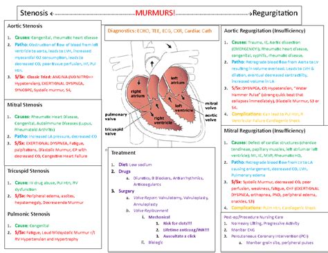 Heart Valves Concept Map - Stenosis -MURMURS!- Regurgitation Aortic ...