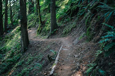 The Oregon Timber Trail Grand Depart (2021) - BIKEPACKING.com