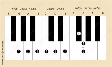 G major scale fingering for piano to use with every application Stock Vector | Adobe Stock