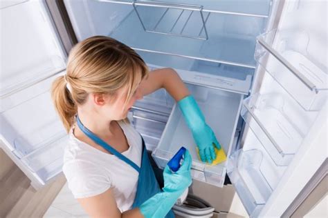 8 Natural Tips to Clean and Disinfect Your Refrigerator - wiselancer