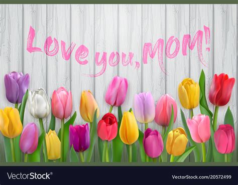 Happy mothers day card with tulips Royalty Free Vector Image