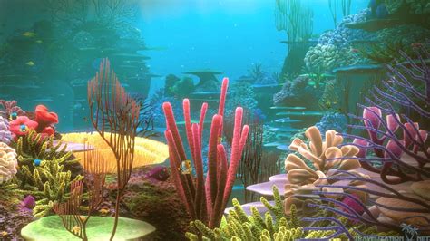 Colorful Coral Reef Desktop | Underwater wallpaper, Underwater background, Aquarium backgrounds