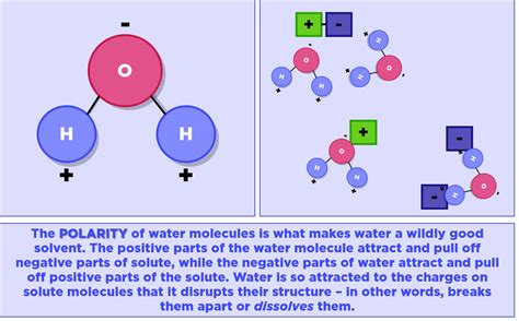 Good Solvent (Water) — Properties & Examples - Expii