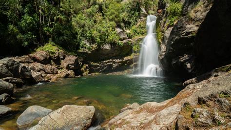 Wainui Falls - Our eco lifestyle block in NZ