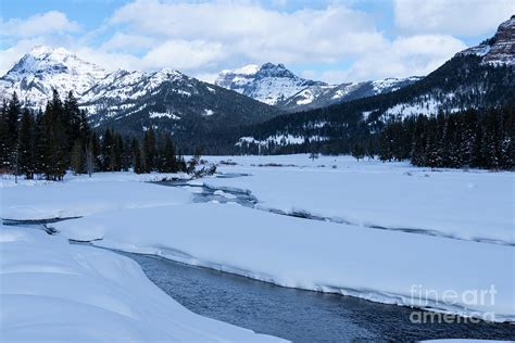 Lamar Valley On A Winter Day Photograph by Dan Murray - Fine Art America