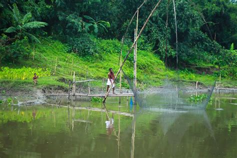 60+ Free Bangladesh Village & Bangladesh Images - Pixabay