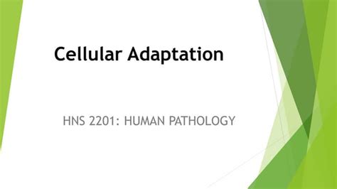 Cellular Adaptation.pptx