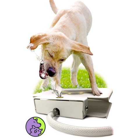 Dog Water Fountain | Outdoor Dog Water Drinking Fountain (Self Serve ...