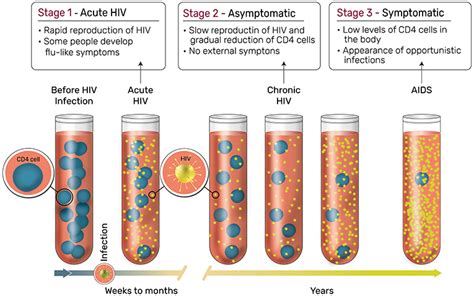 Aids: Facts, Fiction, and Future · Frontiers for Young Minds