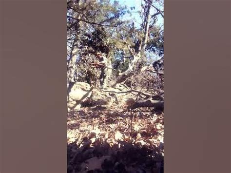 twofortoopart|| #longbow#selfbow#traditionalarchery#bowandarrow#archery#stickbow - YouTube